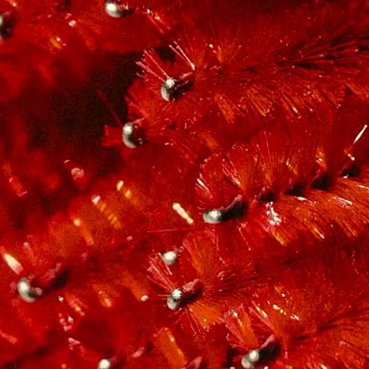 Three Week Fill & Touch Up at Beauty For Lashes By Jessie in Avon, IN